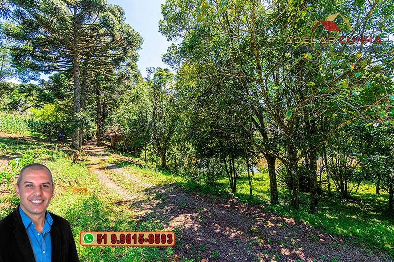 Sítio 5.8 hectares à VENDA em Gramado - RS: 39ª foto da galeria de imagens do imóvel