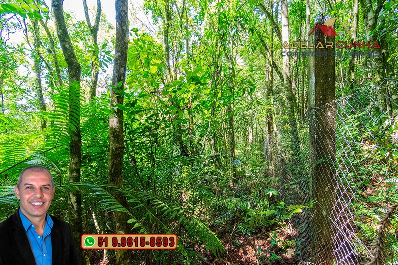 Sítio 5.8 hectares à VENDA em Gramado - RS: 56ª foto da galeria de imagens do imóvel