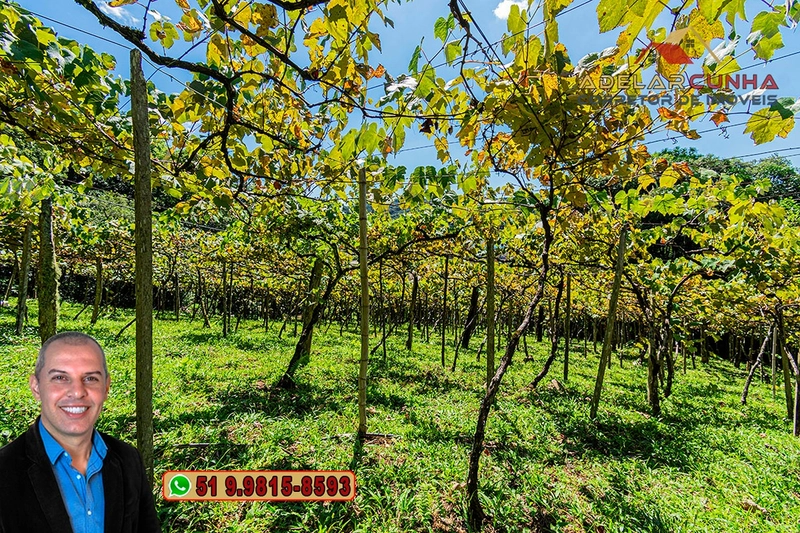 Sítio 5.8 hectares à VENDA em Gramado - RS: 25ª foto da galeria de imagens do imóvel