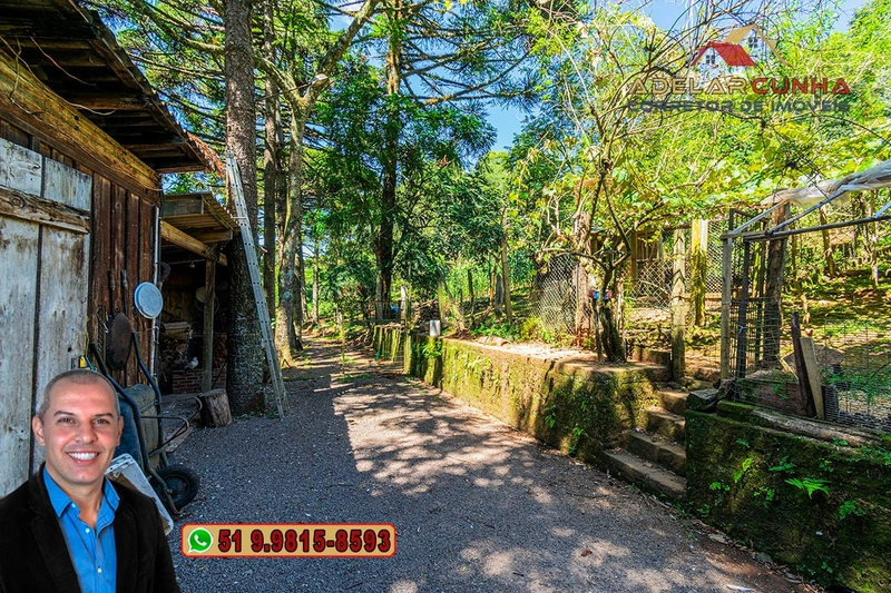 Sítio 5.8 hectares à VENDA em Gramado - RS: 7ª foto da galeria de imagens do imóvel