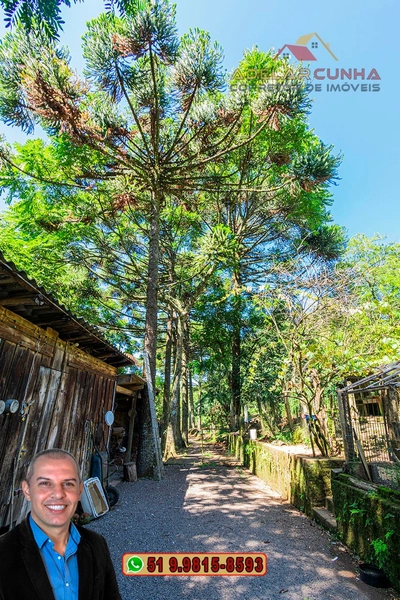 Sítio 5.8 hectares à VENDA em Gramado - RS: 8ª foto da galeria de imagens do imóvel
