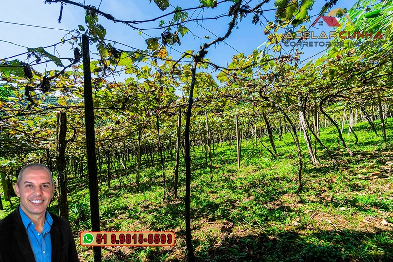 Sítio 5.8 hectares à VENDA em Gramado - RS: 4ª foto da galeria de imagens do imóvel