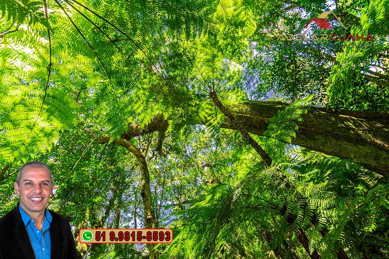 Sítio 5.8 hectares à VENDA em Gramado - RS: 58ª foto da galeria de imagens do imóvel