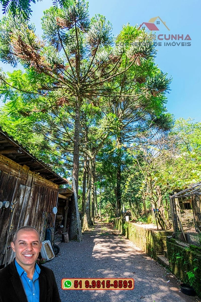 Sítio 5.8 hectares à VENDA em Gramado - RS: 29ª foto da galeria de imagens do imóvel