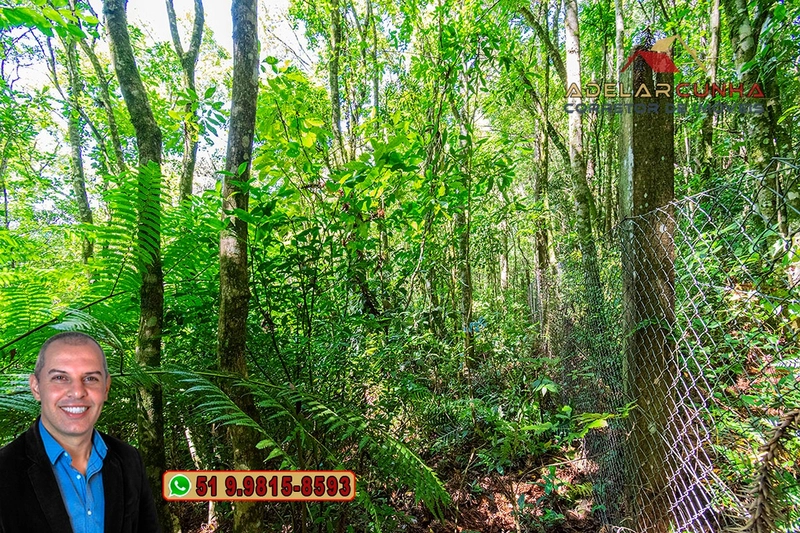 Sítio 5.8 hectares à VENDA em Gramado - RS: 52ª foto da galeria de imagens do imóvel