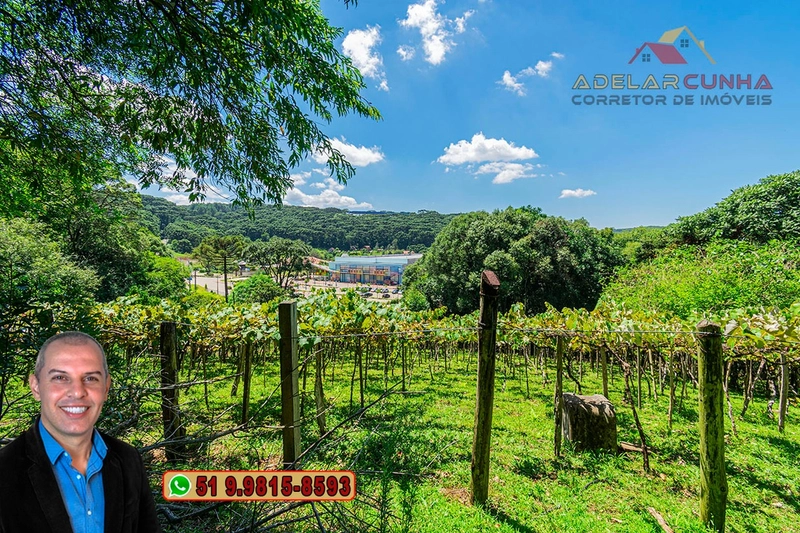 Sítio 5.8 hectares à VENDA em Gramado - RS: 13ª foto da galeria de imagens do imóvel