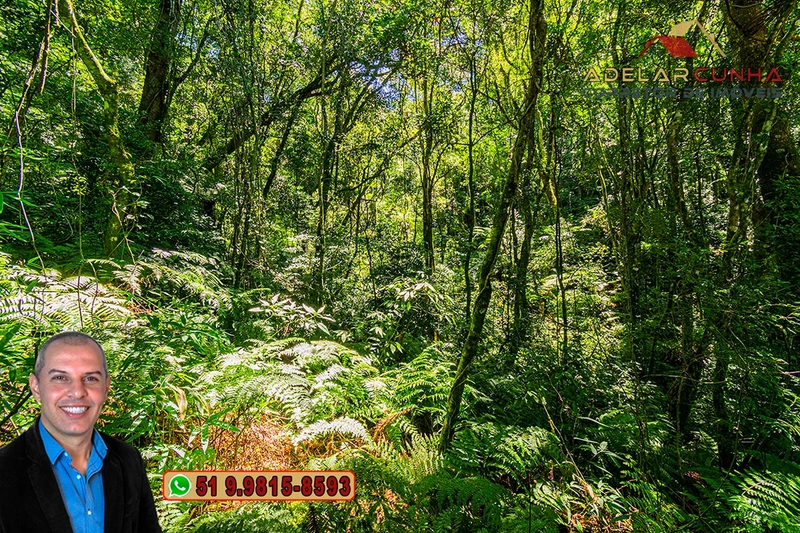 Sítio 5.8 hectares à VENDA em Gramado - RS: 62ª foto da galeria de imagens do imóvel