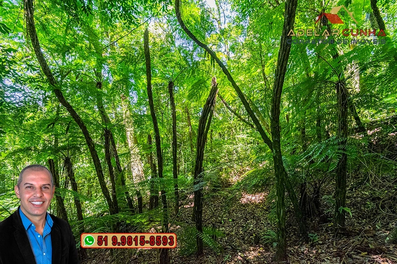 Sítio 5.8 hectares à VENDA em Gramado - RS: 60ª foto da galeria de imagens do imóvel