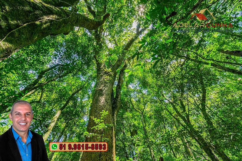 Sítio 5.8 hectares à VENDA em Gramado - RS: 59ª foto da galeria de imagens do imóvel