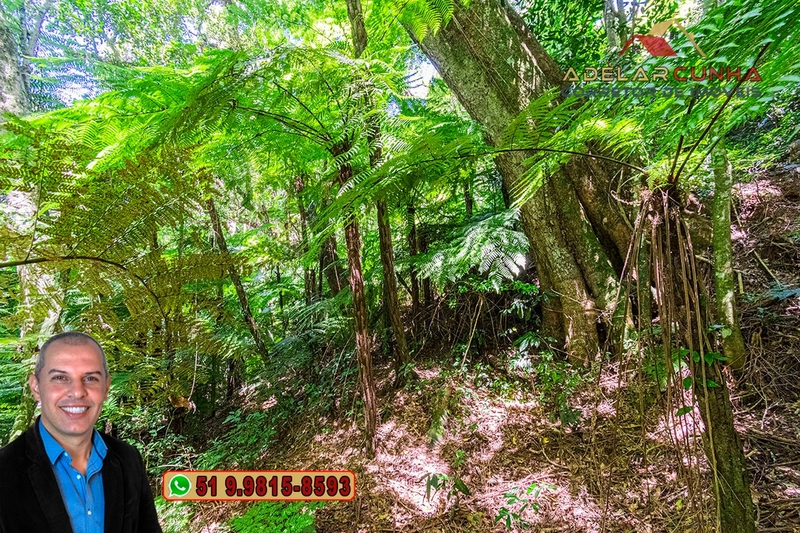 Sítio 5.8 hectares à VENDA em Gramado - RS: 14ª foto da galeria de imagens do imóvel