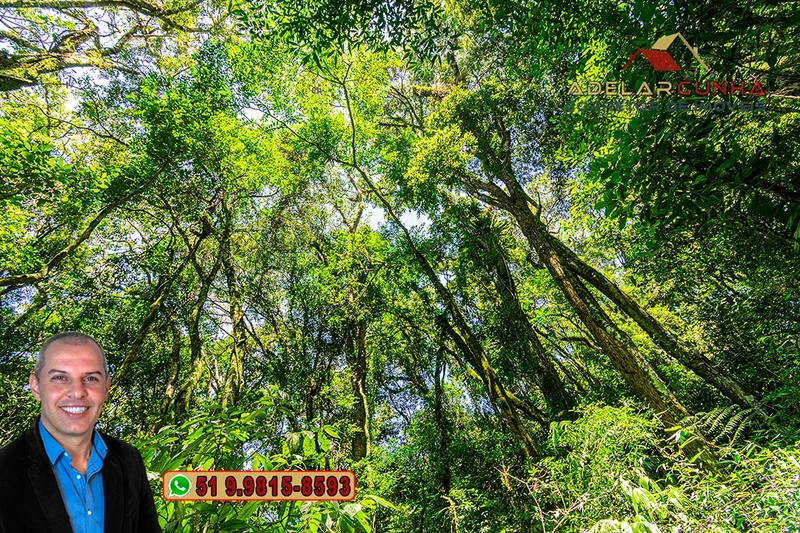 Sítio 5.8 hectares à VENDA em Gramado - RS: 61ª foto da galeria de imagens do imóvel