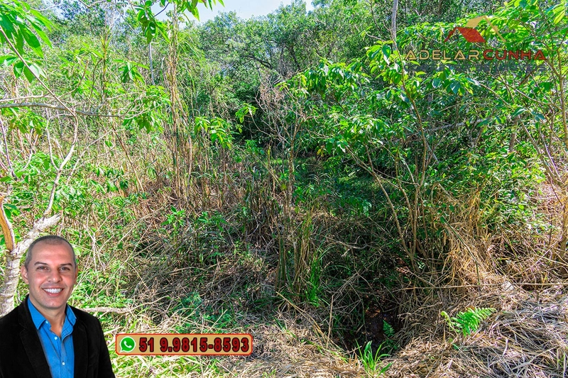 Chácara à VENDA em Nova Hartz - RS: 21ª foto da galeria de imagens do imóvel