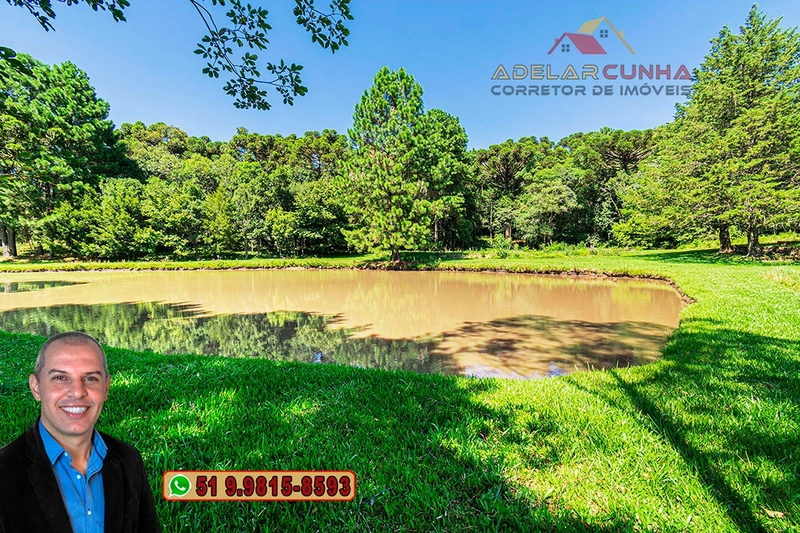 Sítio de 21 hectares à VENDA em Serra Grande - RS: 36ª foto da galeria de imagens do imóvel