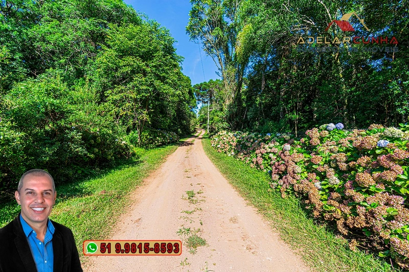 Sítio de 21 hectares à VENDA em Serra Grande - RS: 13ª foto da galeria de imagens do imóvel