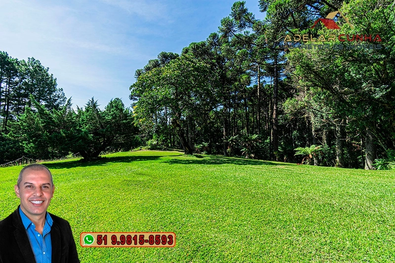 Sítio de 21 hectares à VENDA em Serra Grande - RS: 13ª foto da galeria de imagens do imóvel