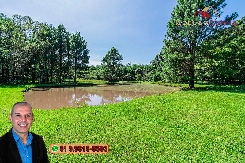 Sítio de 21 hectares à VENDA em Serra Grande - RS: 22ª foto da galeria de imagens do imóvel