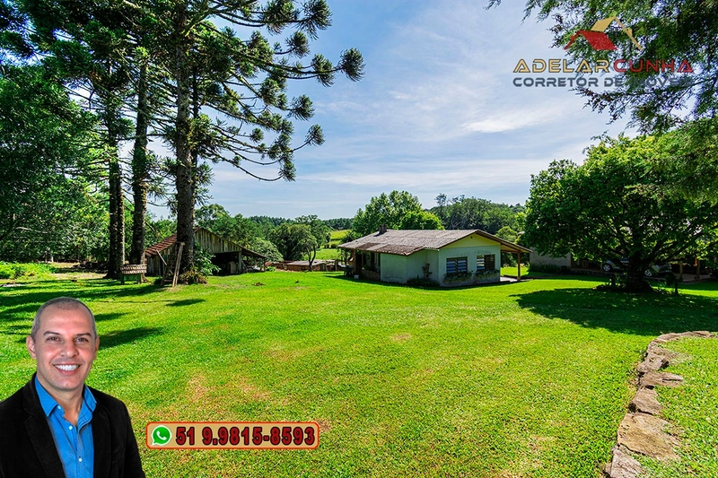 Sítio de 21 hectares à VENDA em Serra Grande - RS: 10ª foto da galeria de imagens do imóvel