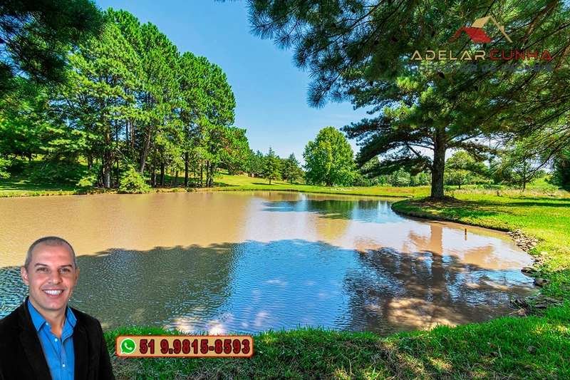 Sítio de 21 hectares à VENDA em Serra Grande - RS: 31ª foto da galeria de imagens do imóvel