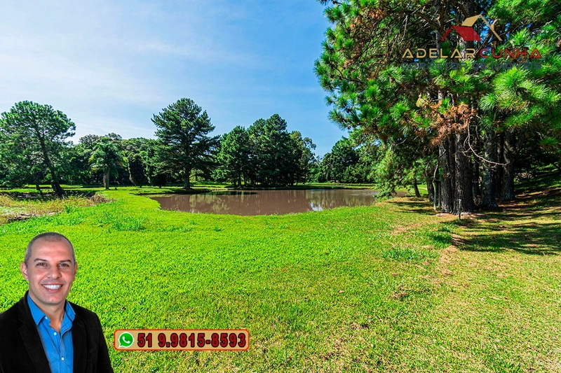 Sítio de 21 hectares à VENDA em Serra Grande - RS: 23ª foto da galeria de imagens do imóvel