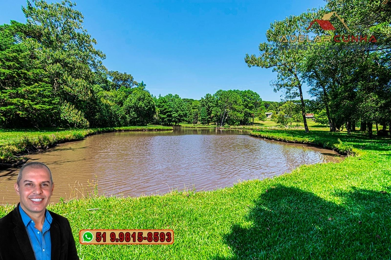 Sítio de 21 hectares à VENDA em Serra Grande - RS: 44ª foto da galeria de imagens do imóvel