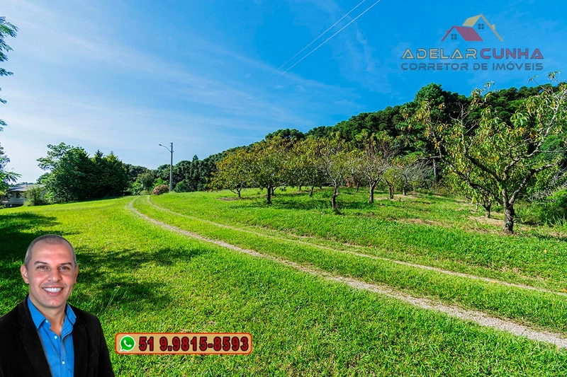 Sítio de 21 hectares à VENDA em Serra Grande - RS: 14ª foto da galeria de imagens do imóvel