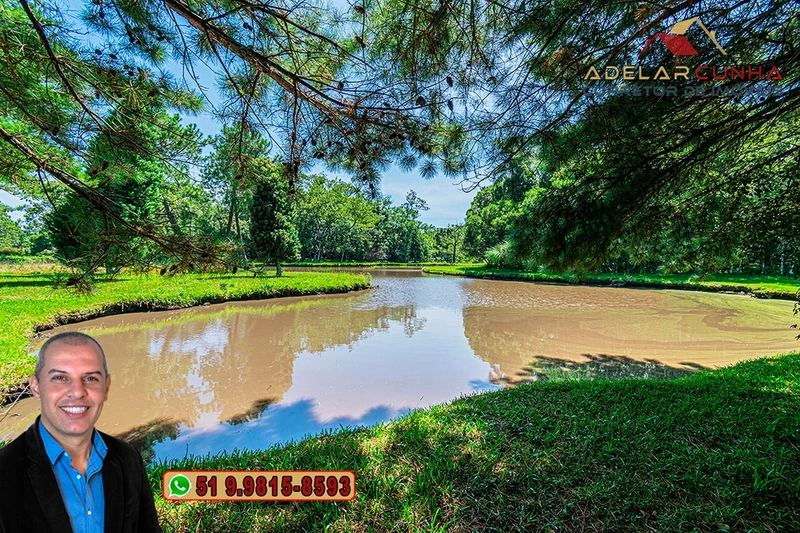 Sítio de 21 hectares à VENDA em Serra Grande - RS: 33ª foto da galeria de imagens do imóvel