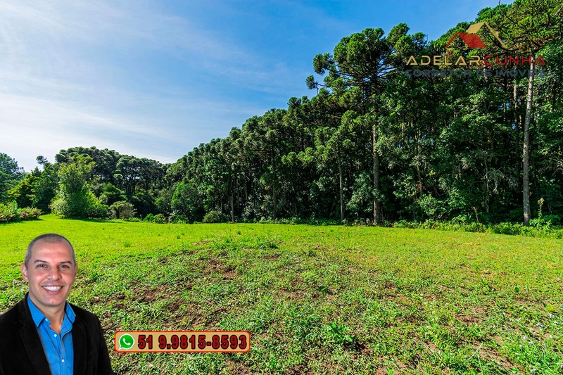 Sítio de 21 hectares à VENDA em Serra Grande - RS: 2ª foto da galeria de imagens do imóvel