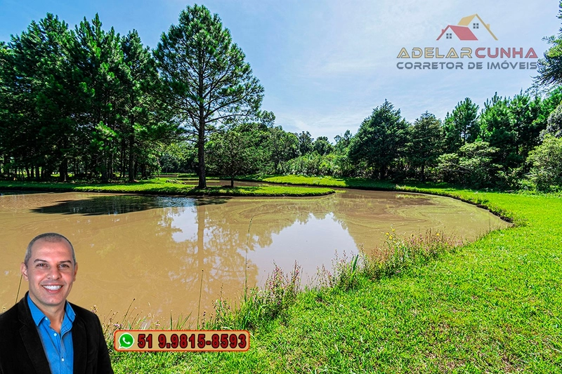 Sítio de 21 hectares à VENDA em Serra Grande - RS: 25ª foto da galeria de imagens do imóvel