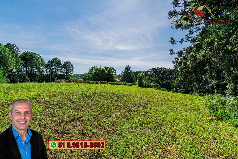 Sítio de 21 hectares à VENDA em Serra Grande - RS: 6ª foto da galeria de imagens do imóvel
