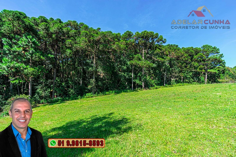 Sítio de 21 hectares à VENDA em Serra Grande - RS: 3ª foto da galeria de imagens do imóvel