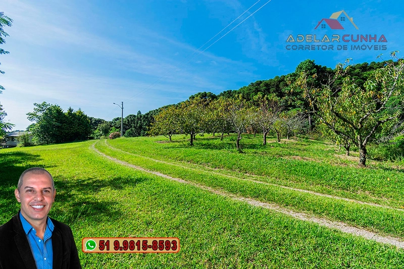 Sítio de 21 hectares à VENDA em Serra Grande - RS: 3ª foto da galeria de imagens do imóvel