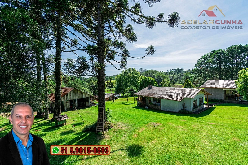 Sítio de 21 hectares à VENDA em Serra Grande - RS: 12ª foto da galeria de imagens do imóvel