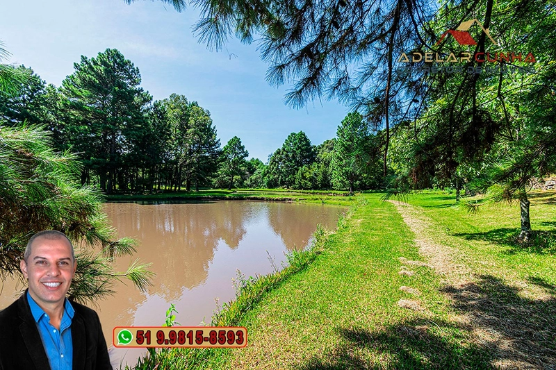 Sítio de 21 hectares à VENDA em Serra Grande - RS: 20ª foto da galeria de imagens do imóvel