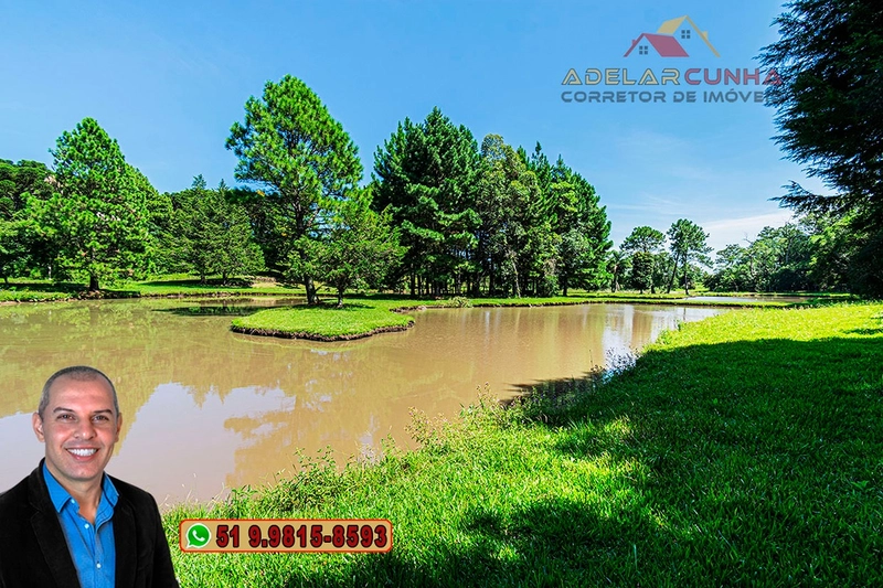 Sítio de 21 hectares à VENDA em Serra Grande - RS: 28ª foto da galeria de imagens do imóvel