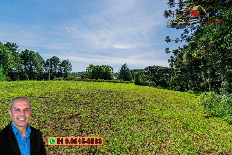 Sítio de 21 hectares à VENDA em Serra Grande - RS: 15ª foto da galeria de imagens do imóvel