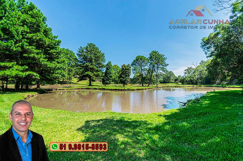 Sítio de 21 hectares à VENDA em Serra Grande - RS: 30ª foto da galeria de imagens do imóvel