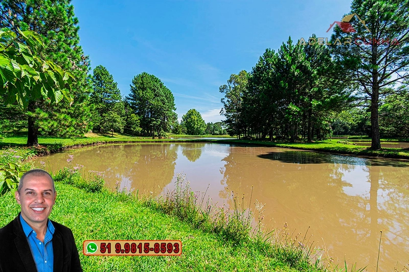 Sítio de 21 hectares à VENDA em Serra Grande - RS: 24ª foto da galeria de imagens do imóvel