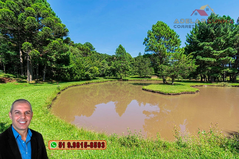 Sítio de 21 hectares à VENDA em Serra Grande - RS: 10ª foto da galeria de imagens do imóvel
