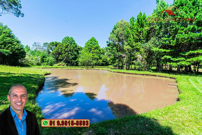Sítio de 21 hectares à VENDA em Serra Grande - RS: 29ª foto da galeria de imagens do imóvel