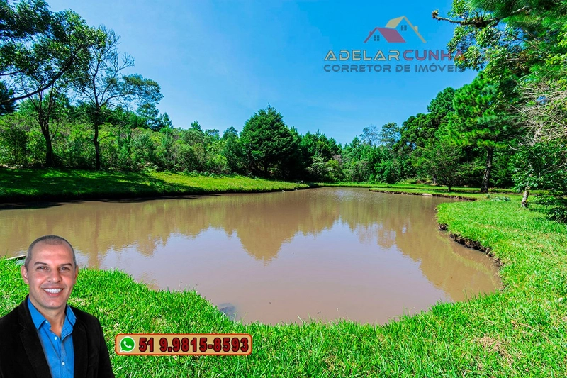 Sítio de 21 hectares à VENDA em Serra Grande - RS: 12ª foto da galeria de imagens do imóvel