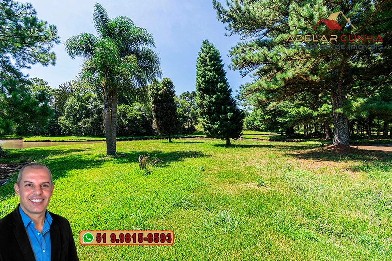 Sítio de 21 hectares à VENDA em Serra Grande - RS: 39ª foto da galeria de imagens do imóvel