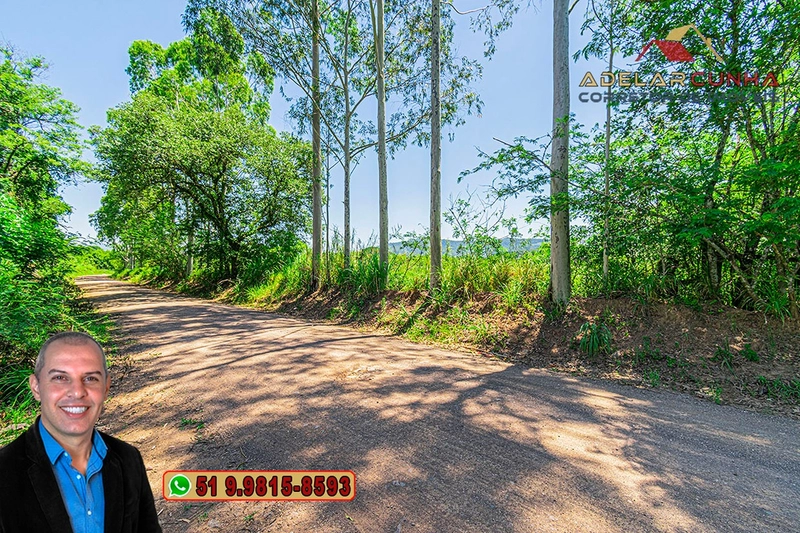 Chácara Exclusiva com Sobrado, Piscina e Acesso ao Rio Paranhana à Venda em Igrejinha - RS: 97ª foto da galeria de imagens do imóvel