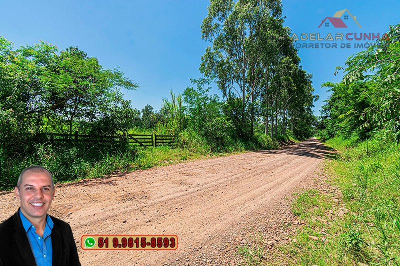 Chácara Exclusiva com Sobrado, Piscina e Acesso ao Rio Paranhana à Venda em Igrejinha - RS: 96ª foto da galeria de imagens do imóvel