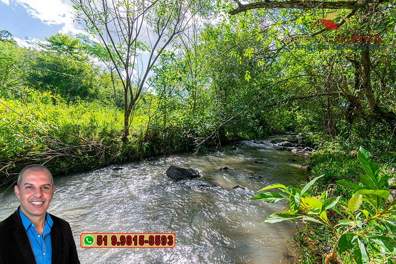Sítio de 10 hectares à Venda em Igrejinha - RS: 9ª foto da galeria de imagens do imóvel