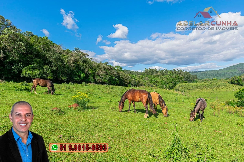 Sítio de 10 hectares à Venda em Igrejinha - RS: 21ª foto da galeria de imagens do imóvel