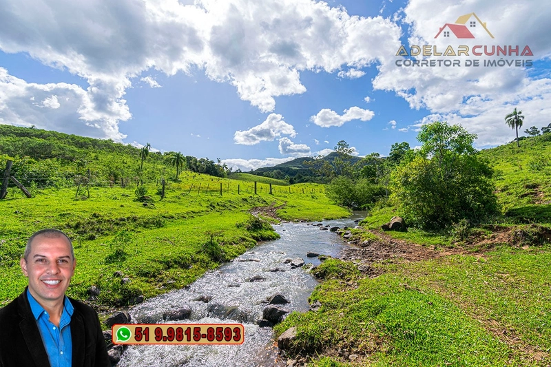 Sítio de 10 hectares à Venda em Igrejinha - RS: 12ª foto da galeria de imagens do imóvel
