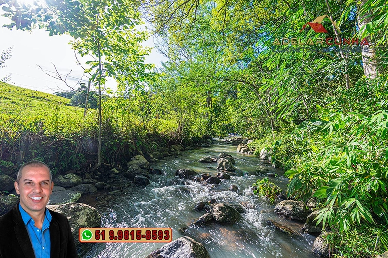 Sítio de 10 hectares à Venda em Igrejinha - RS: 10ª foto da galeria de imagens do imóvel