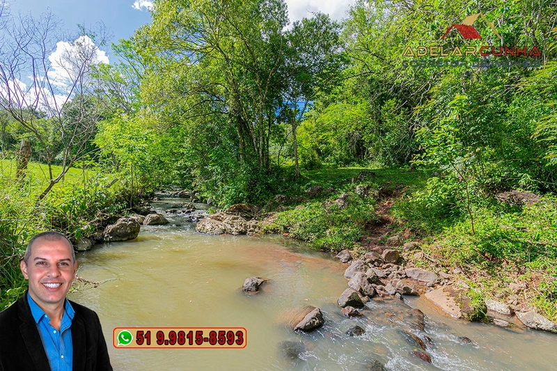 Sítio de 10 hectares à Venda em Igrejinha - RS: 5ª foto da galeria de imagens do imóvel