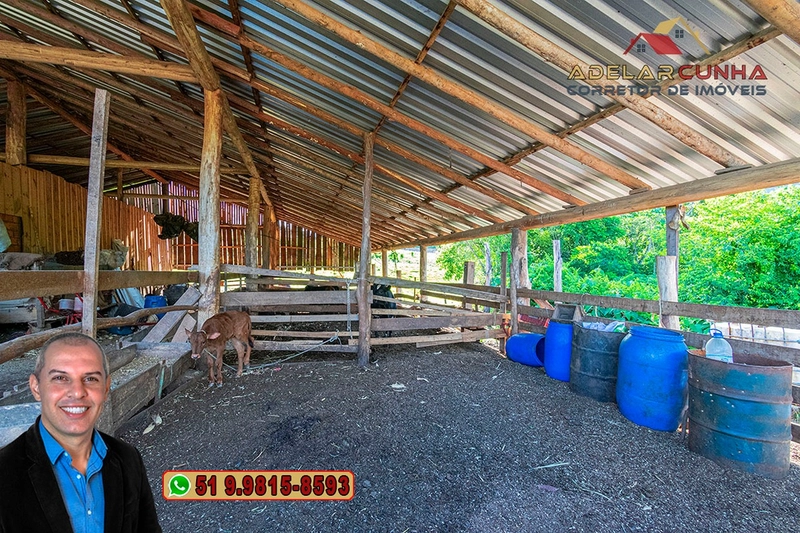 Sítio de 10 hectares à Venda em Igrejinha - RS: 32ª foto da galeria de imagens do imóvel