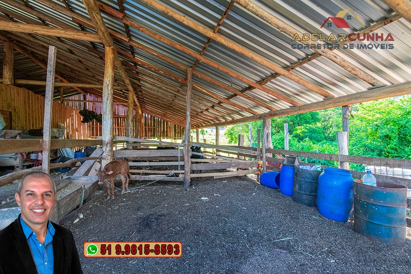 Sítio de 10 hectares à Venda em Igrejinha - RS: 7ª foto da galeria de imagens do imóvel